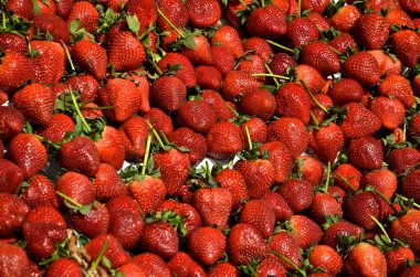 San Francisco - Strawberrys clipart