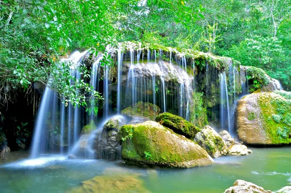가다랑어-parque das cachoeiras — 스톡 사진