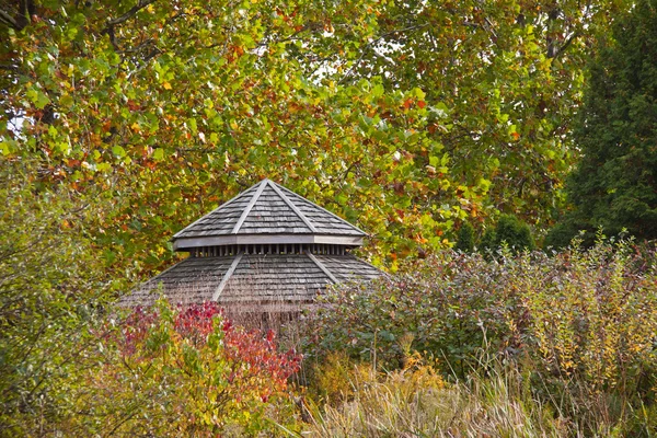 Дерев'яний дах в осінніх кольорах Стокове Зображення