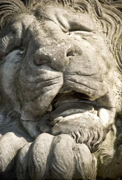 Лицо каменного льва — стоковое фото