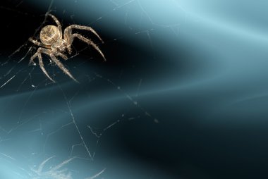 Background with spider clipart
