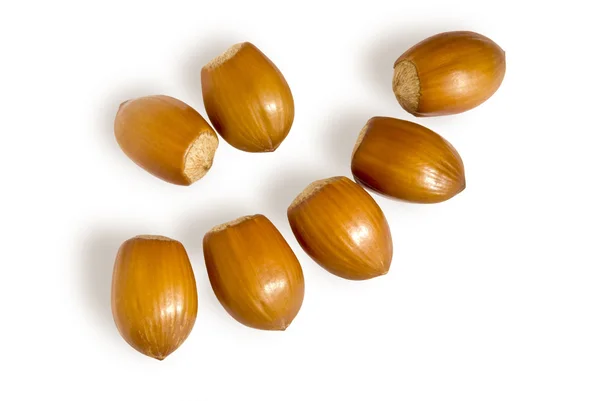 Seven Nuts — Stock Photo, Image