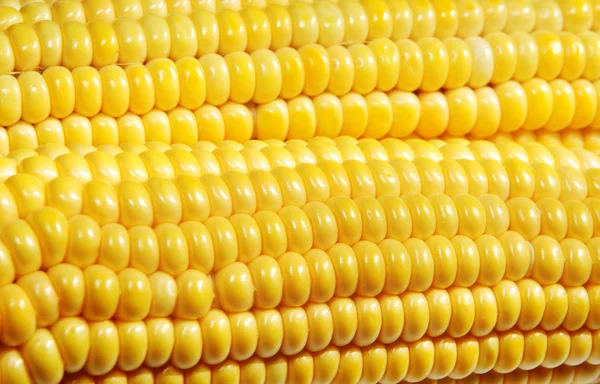 Bliska kukurydzy — Zdjęcie stockowe