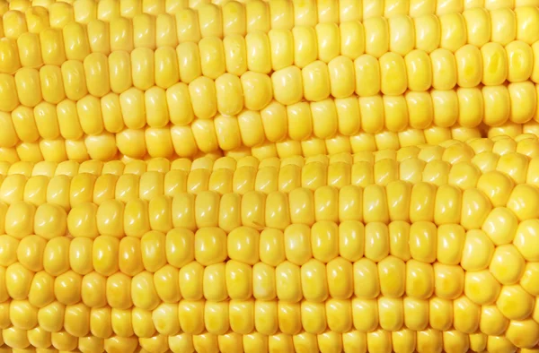 Close-up de milho — Fotografia de Stock