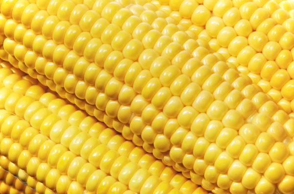 Close-up van maïs — Stockfoto