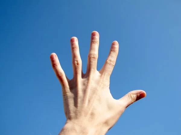 stock image Hand in the sky