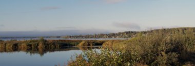 Panorama