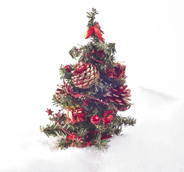 Kerstboom geplaatst in sneeuw — Stockfoto