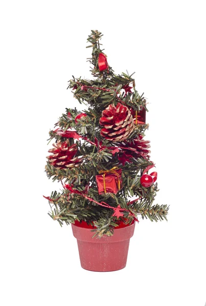 Vánoční stromek izolovaný na bílém — Stock fotografie