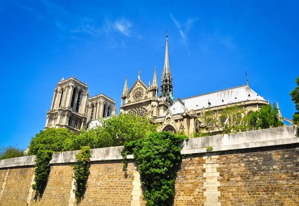 Katedrála Notre damme v Paříži — Stock fotografie