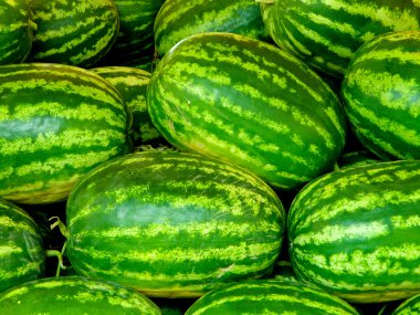 Yeşil canlı watermellons detay