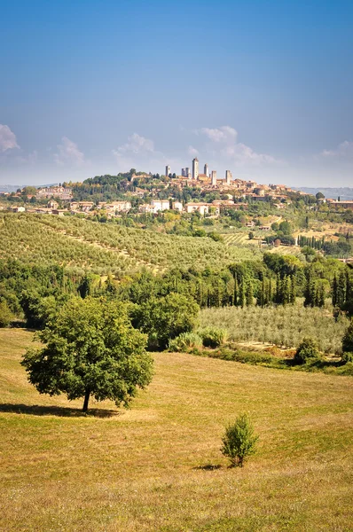 San gimignano dorp en velden weergeven — Stockfoto