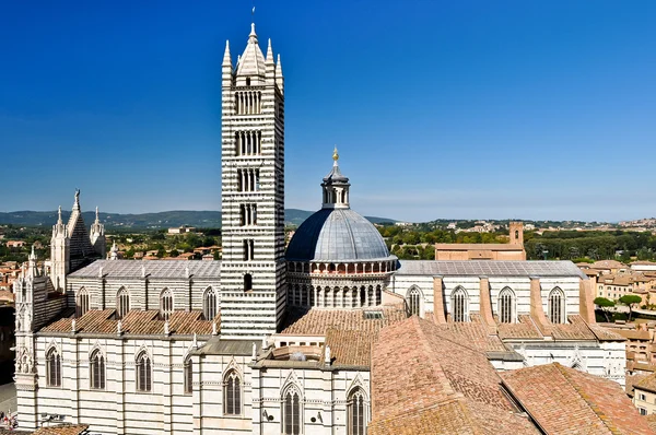 Duomo di siena ve çan kulesi — Stok fotoğraf