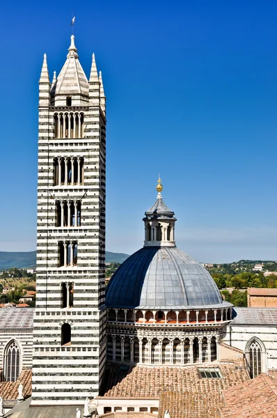 Katedra Duomo di siena i dzwon wieża — Zdjęcie stockowe