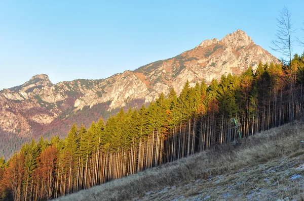 Linha de árvore de outono com montanha rochosa — Fotografia de Stock