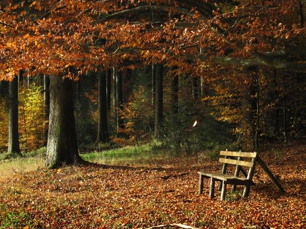 stock image Bench