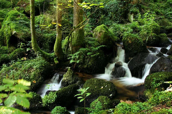 stock image Flowing water