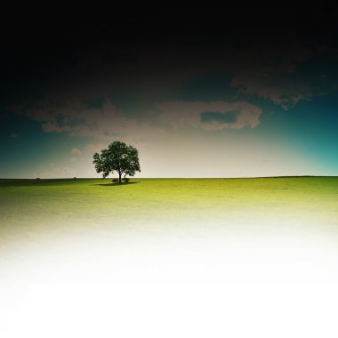 Lone tree clipart