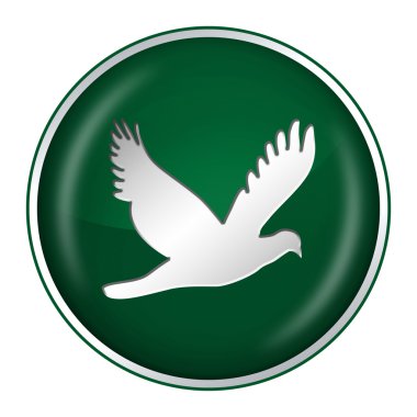 Green dove clipart