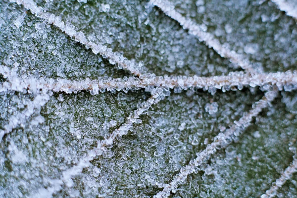 Naturaleza congelada —  Fotos de Stock