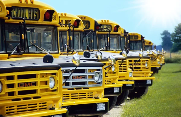 stock image School bus