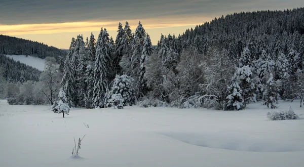 Inverno — Fotografia de Stock