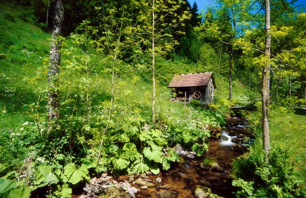 Stock image River and mill