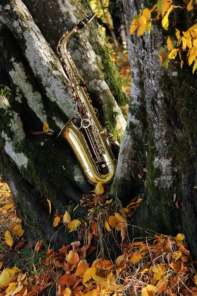 Saxofon grungy vechi — Fotografie, imagine de stoc