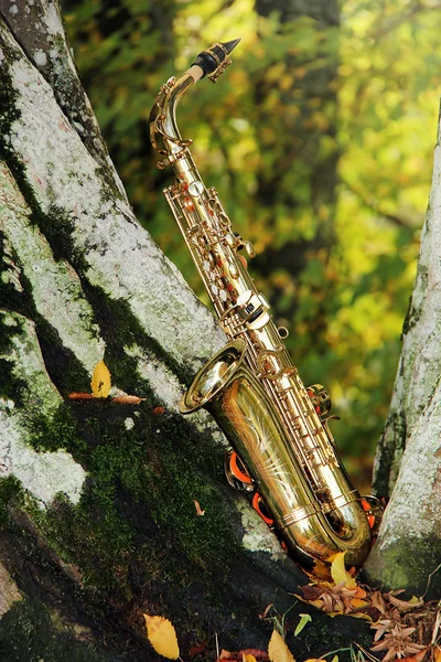 Eski grungy saksafon — Stok fotoğraf