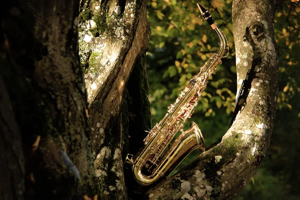 Oude grungy saxofoon — Stockfoto