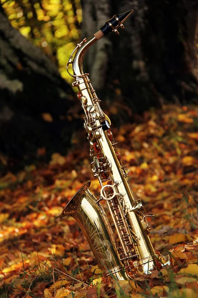 Viejo saxofón gruñón —  Fotos de Stock