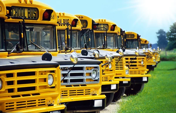 Stock image School bus