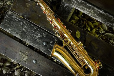 Saxophone on bench clipart