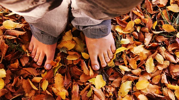 stock image Barefoot in the leaves