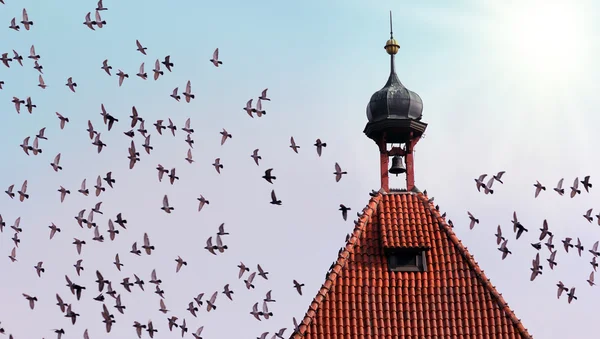 Tower with birds — Stock Photo, Image