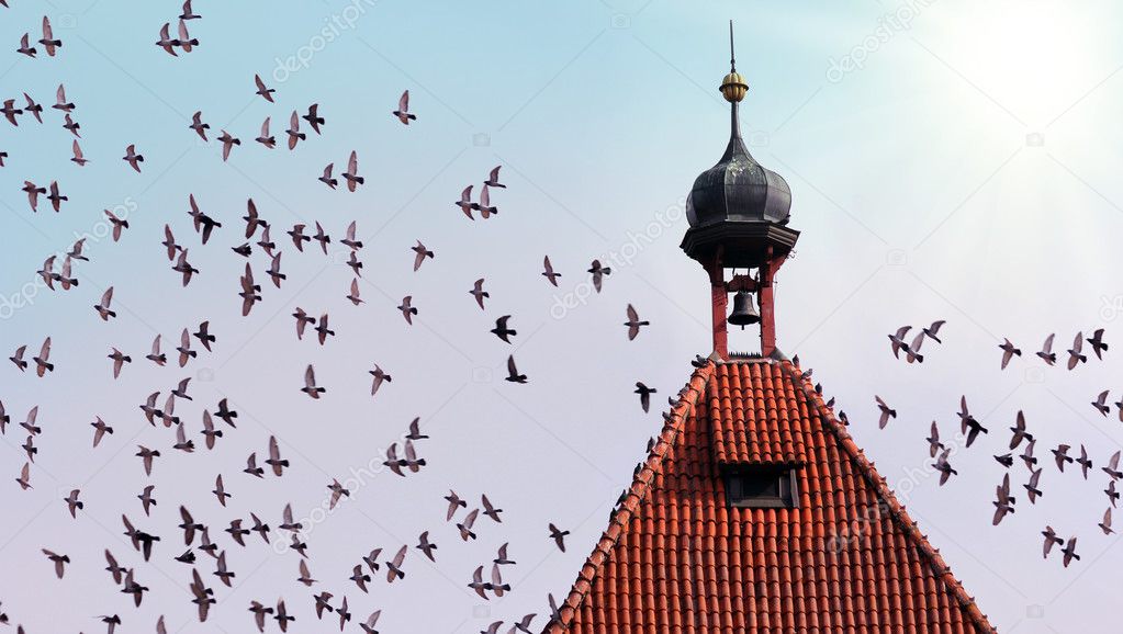 Tower with birds