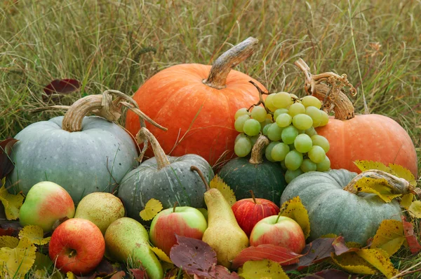 Сбор свежих овощей и фруктов Лицензионные Стоковые Изображения