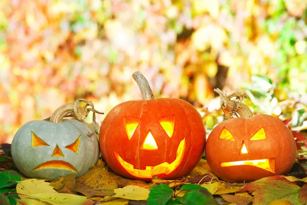 Halloween pumpkins Royalty Free Stock Images