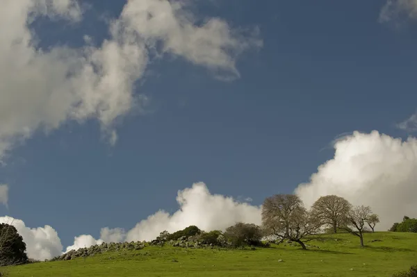 Hill och sky — Stockfoto