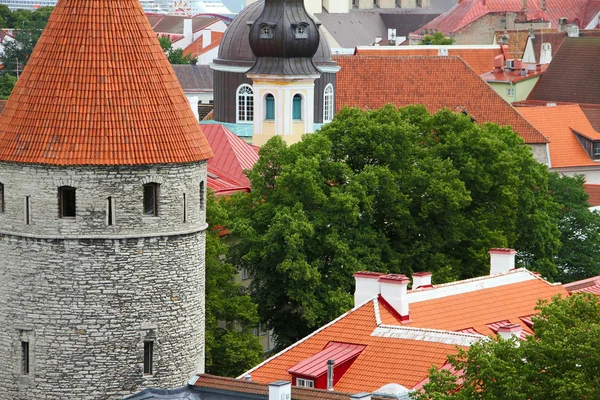 Tallinn panoráma — Stock Fotó