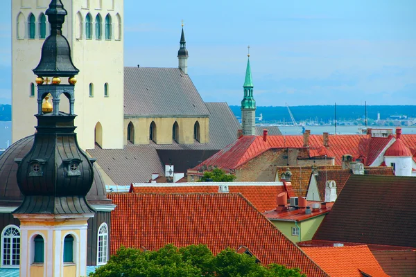 Panoramatický pohled na staré město tallinn — Stock fotografie
