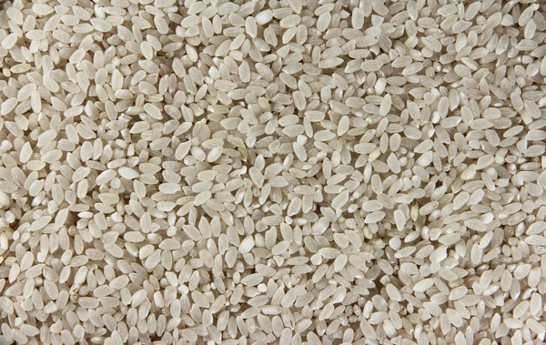 stock image Rice background