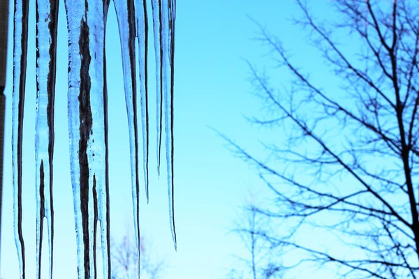 Huge icicles — Stock Photo, Image