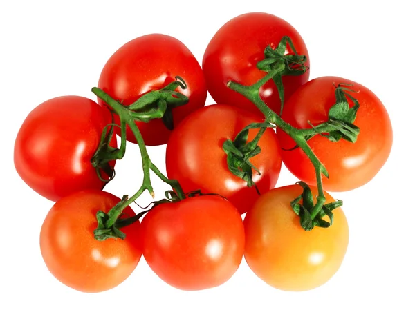 Tomates rouges sur la branche — Photo
