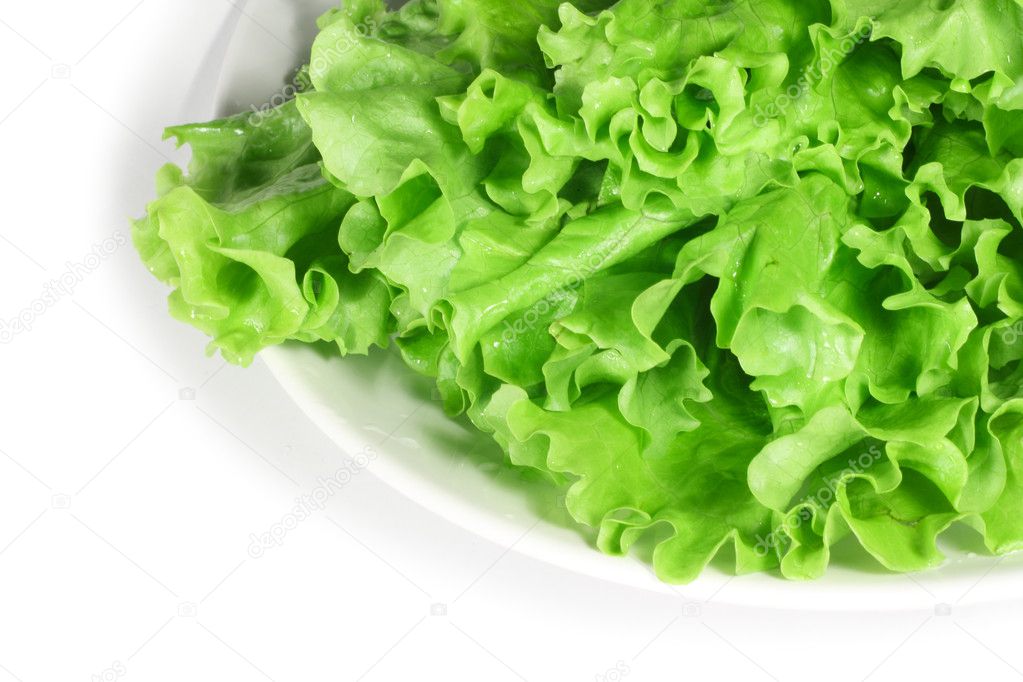 Fresh lettuce on white plate