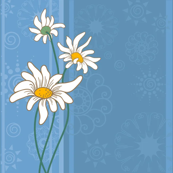 Background with chamomile flowers — Stock Vector
