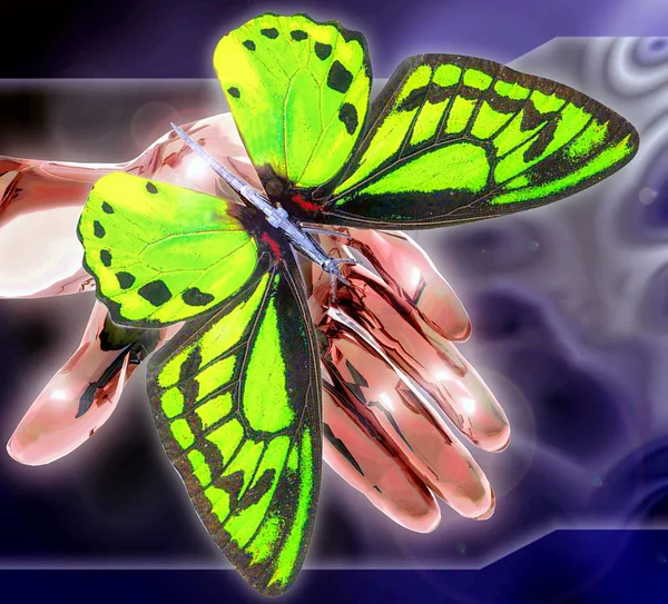 Бабочка-робот — стоковое фото