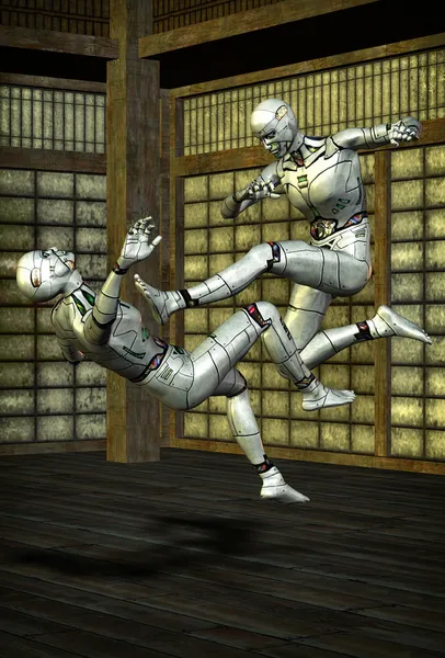 Arti marziali robot kung fu — Foto Stock