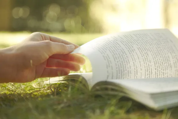 Leer un libro al aire libre — Foto de Stock