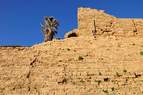 Caesarea muur. — Stockfoto